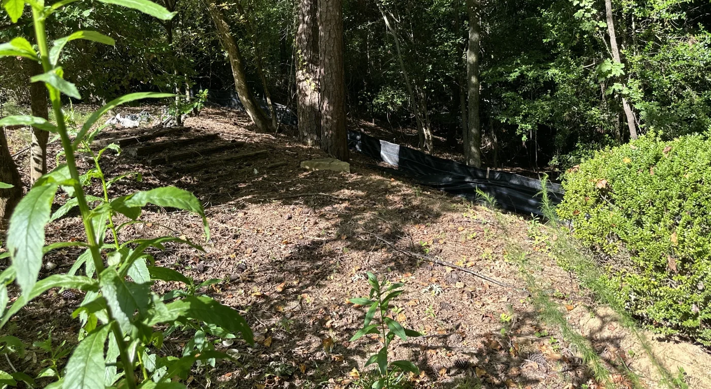 Sloped ground and erosion controls along a wooded property boundary