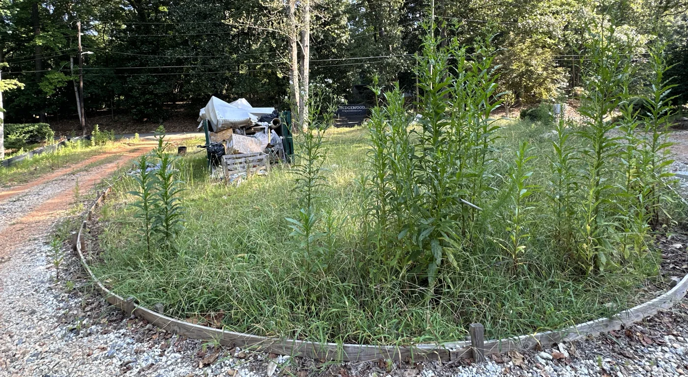 Overgrown property grounds and construction equipment